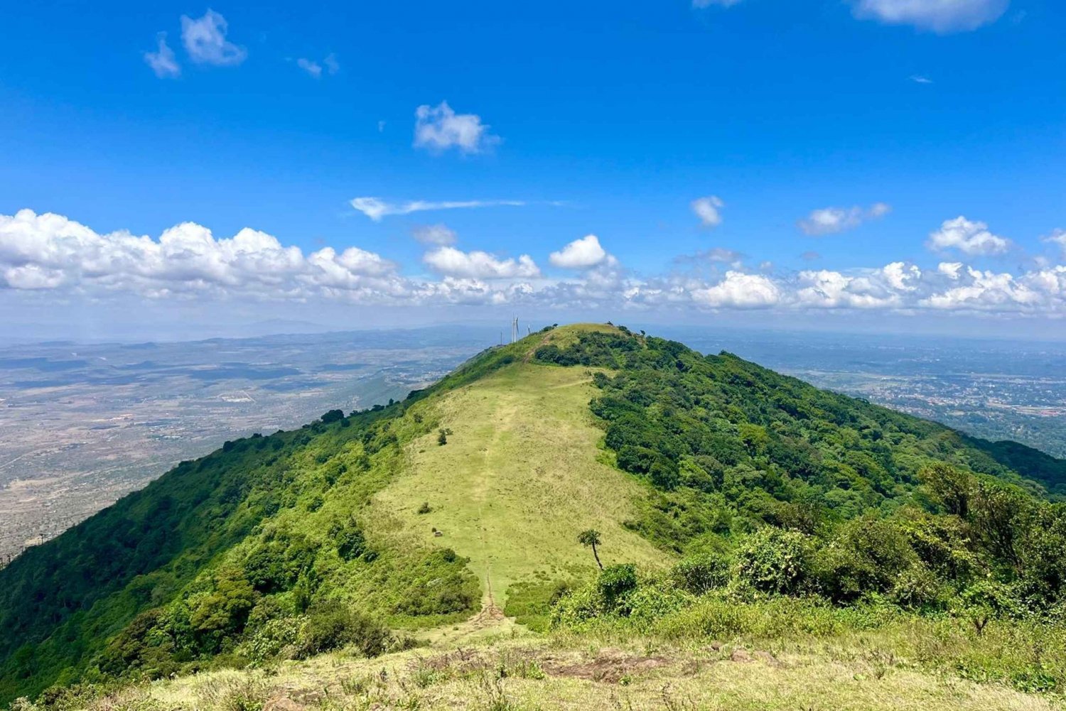 Ngong Hills Forest Reserve